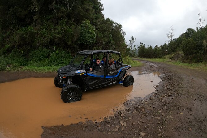 Private Buggy Off-Road Tour - Explore Madeiras Landscapes