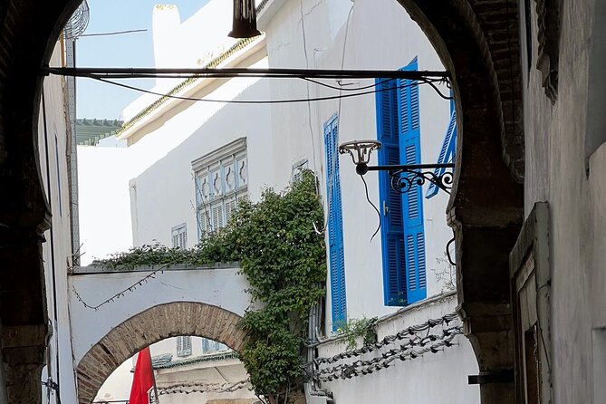 Private Day Tour Tunis Medina Carthage Sidi Bou Said Bardo Museum - Highlights of the Tour