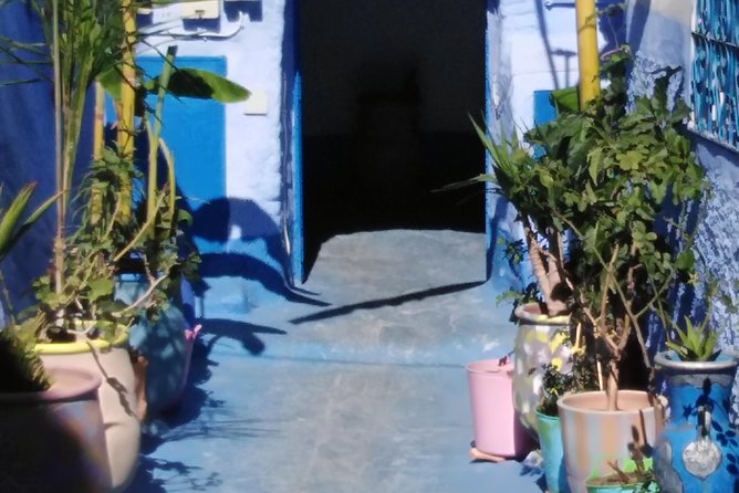 Private Day Trip to Chefchaouen From Fez - Scenic Rif Mountains