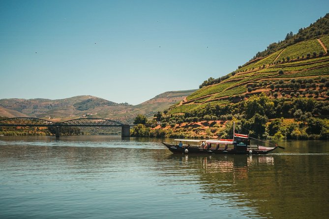 Private Douro Valley Tour Including 3 Wineries - Winery Visit Experience