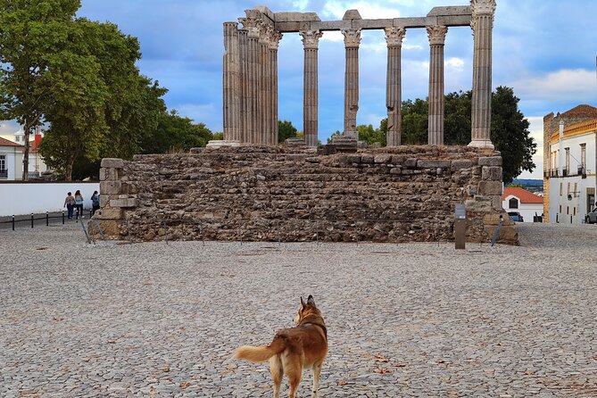 Private Évora Tour - Megaliths, Historical Center and Cork Region - Cork Region Highlights