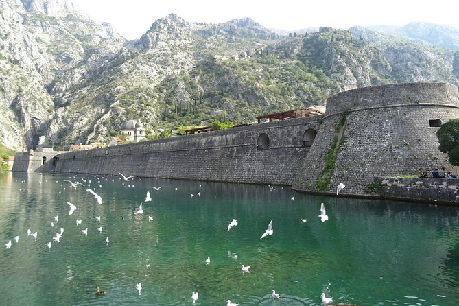 Private Full-Day Tour - Skadar Lake National Park, Saint Stefan and Kotor Tour - Skadar Lake National Park