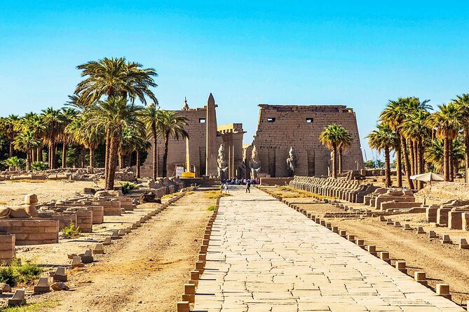 Private Full Day Tour to East and West Banks of Luxor - Highlights of East Bank