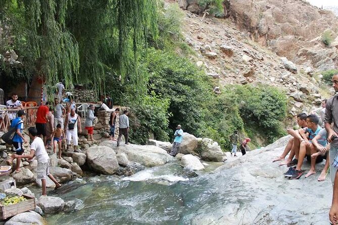 Private Full Day Trip From Marrakech To Ourika Valley - Argain Oil Cooperative