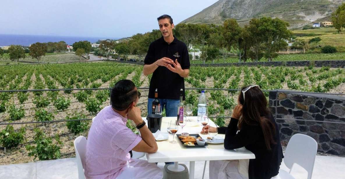 Private Group Visit to Akrotiri & 3 Wineries With Tastings - Akrotiri Exploration