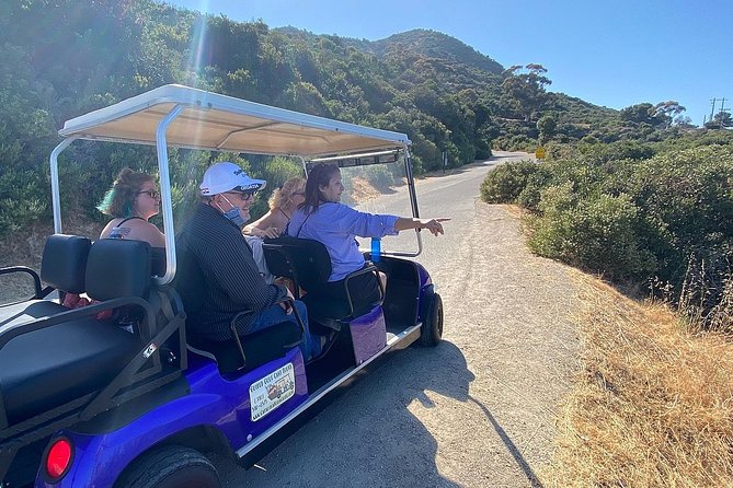 Private Guided Golf Cart Tour of Avalon - Areas for Improvement