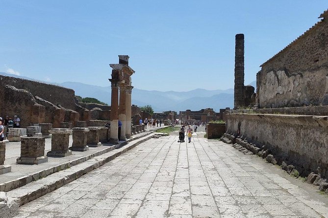 Private Guided Tour of Pompeii and Herculaneum - Pricing