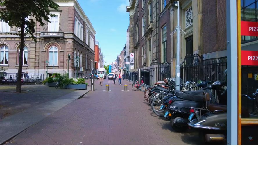 Private Half-Day Delft and the Hague Tour - Important Information