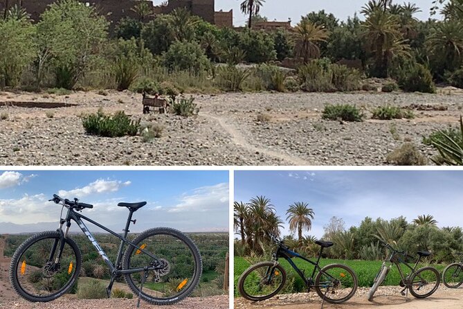 Private Half-Day Mountain Biking Excursion to Discover the Palm Grove of Skoura - Engaging Conversations and Scenery