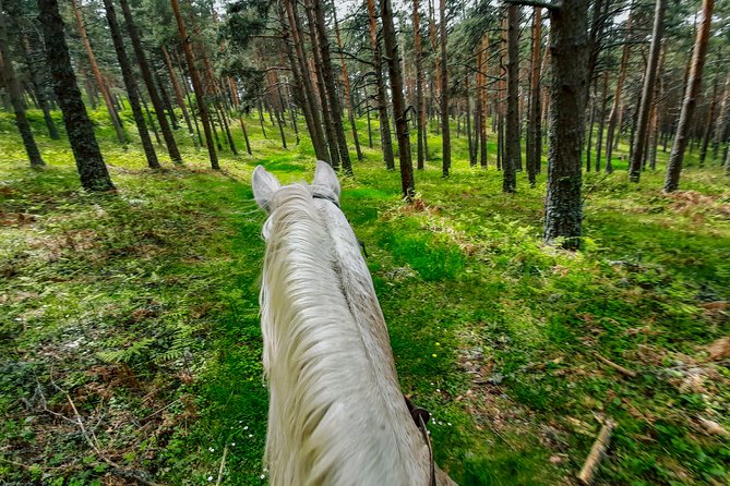 Private Horse Ride in Madrid Natural Park Reserve - Surrounding Area and Transport