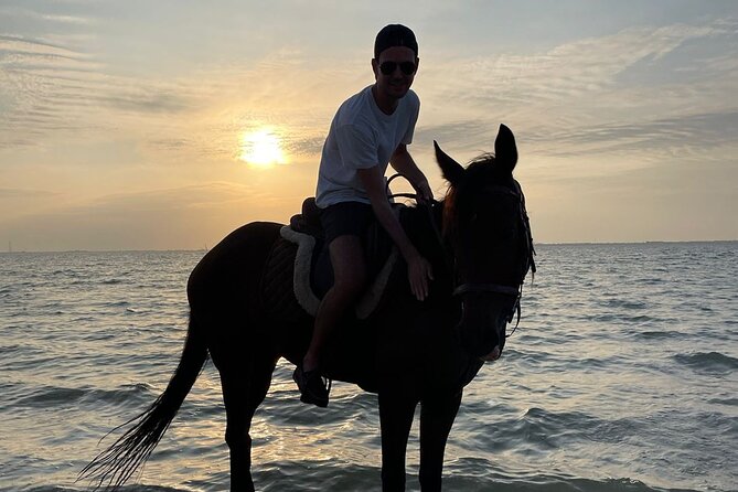 Private Horse Riding Experience at Red Sea - Pricing and Booking Information