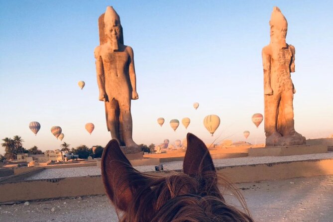 Private Horse Riding Tour in Luxor West Bank - Safety Precautions