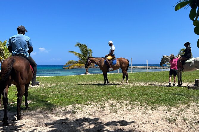 Private Horseback Ride and Swim From Montego Bay - Booking and Cancellation