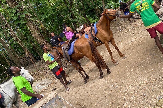 Private Horseback Riding With Blue Hole River Tour in Montego Bay - Horseback Riding Experience