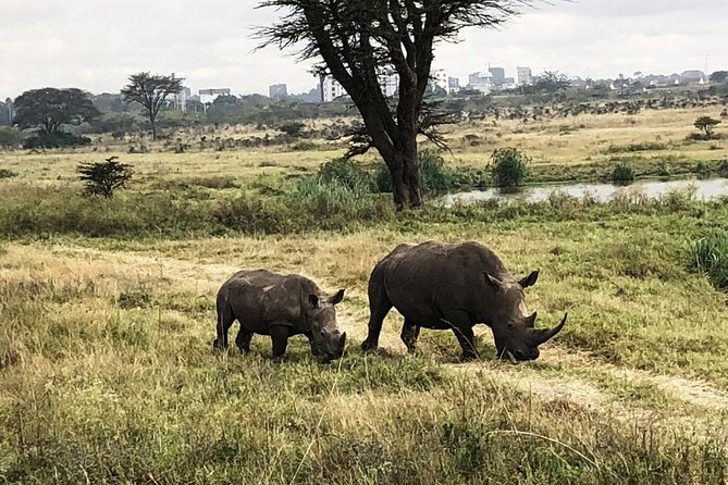 Private Nairobi National Park Day Tour - Additional Notes