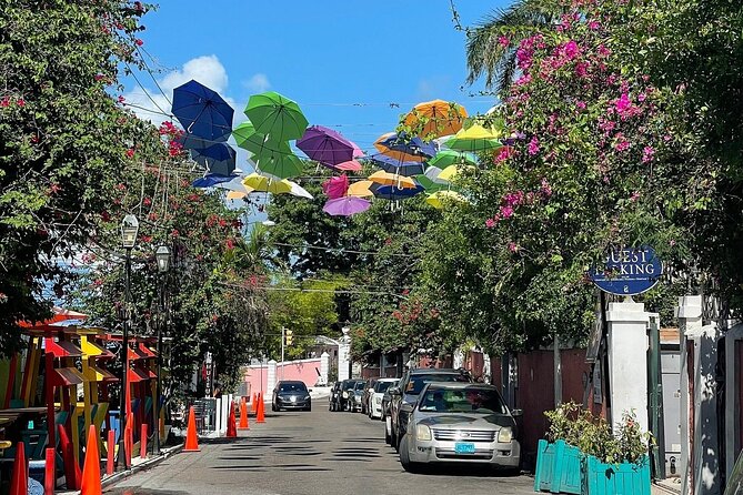 Private Pedicab Tour of Downtown Nassau Attractions - Accessibility and Participation