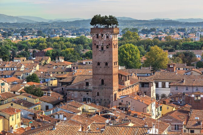 Private Pisa and Lucca Half Day Tour With Leaning Tower Tickets - Traveler Recommendations