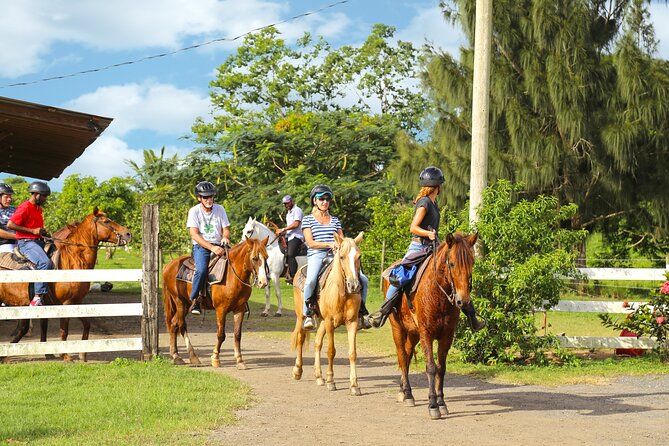 Private Ranch Horseback Tour in Carolina, Puerto Rico - Paso Fino Horse History