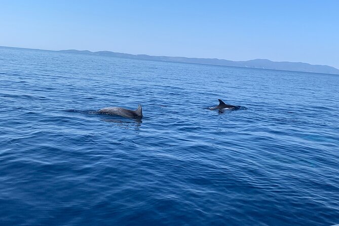 Private Speedboat Tour From Trogir or Split-Create Your Itinerary - Cancellation Policy