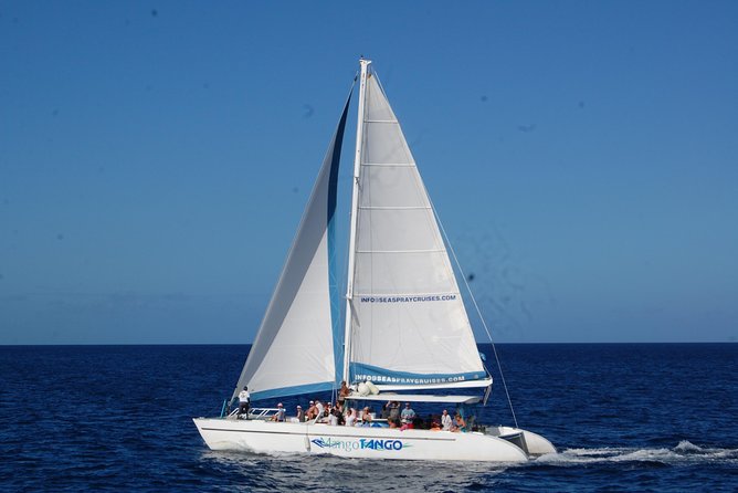 Private St Lucia Full Day Snorkeling Charter for Up to 15 Guests - Guest Reviews