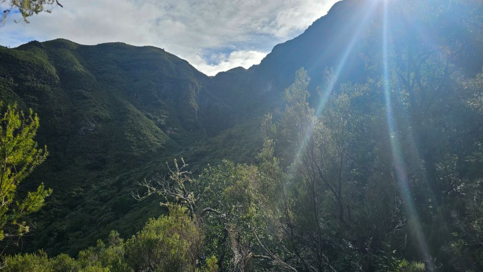 Private Tour: 25 Fontes Levada Hike - Difficulty and Recommendations