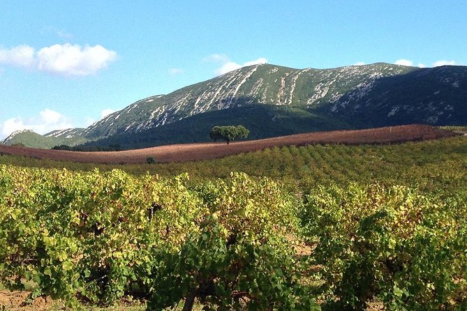 Private Tour: Arrábida Day Trip From Lisbon Including Wine Tasting - Scenic Viewpoints