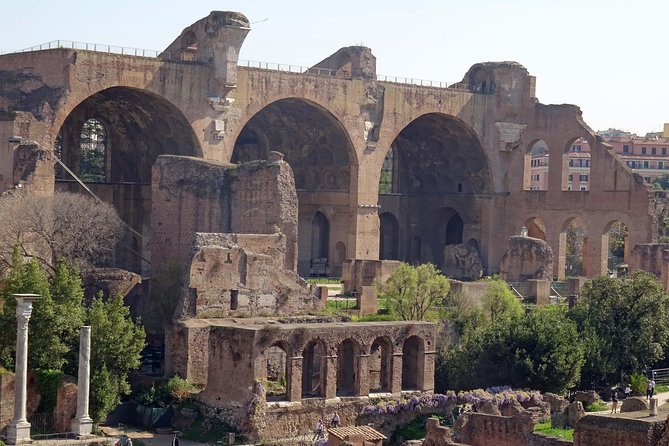 Private Tour: Colosseum & Imperial Rome Art History Walking Tour - 3207A - Tour Inclusions and Logistics