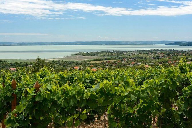 Private Tour From Budapest to a Top Hidden Treasure Region of Europe: Lake Balaton - Inclusions