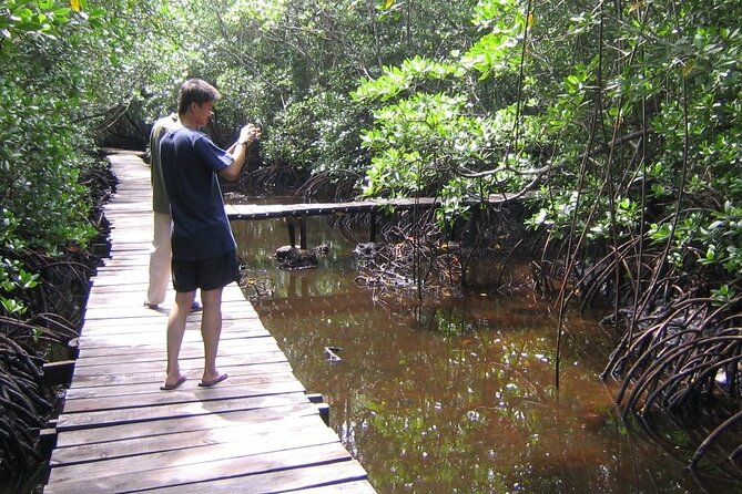 Private Tour Jozani Forest, Dolphin Watching and Kuza Cave - Kuza Cave Exploration