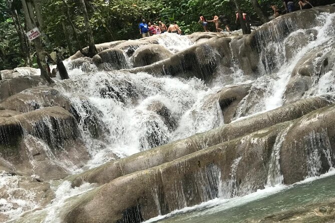 Private Tour of Dunns River Falls From Montego Bay Resorts - Testimonials and Reviews