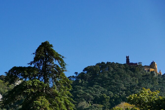 Private Tour of Sintra and Surroundings - Exploring Pena National Park