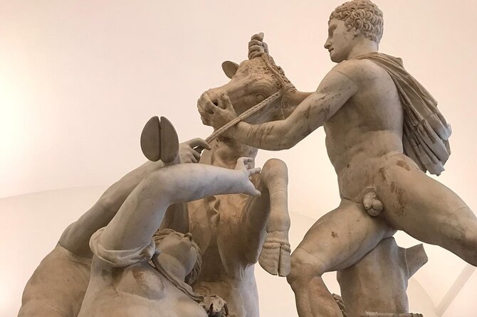 Private Tour of the National Archaeological Museum of Naples - Museum Collection Highlights