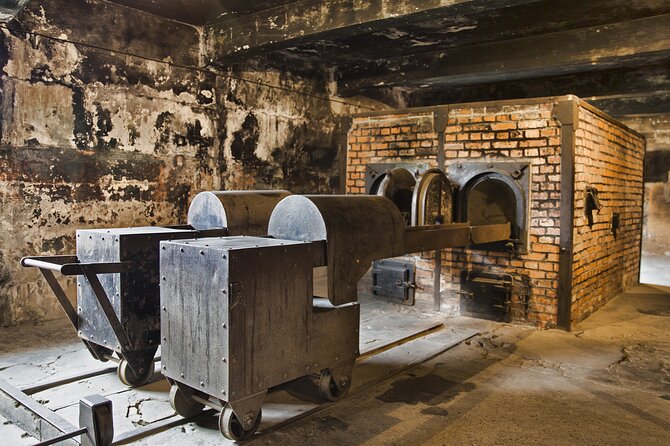 Private Tour to Auschwitz Birkenau & Salt Mine in One Day - Tour Options and Schedule