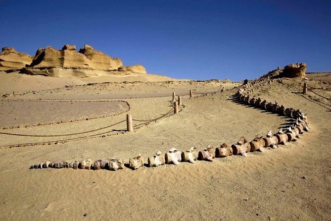 Private Tour to Fayoum Oasis, Valley of the Whales & Wadi Al Rian From Cairo. - Exploring Qarun Lake