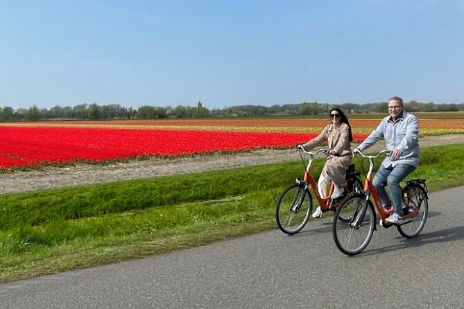 Private Tour to Keukenhof Gardens With Guide - Full Day Tour From Amsterdam - About the Tour