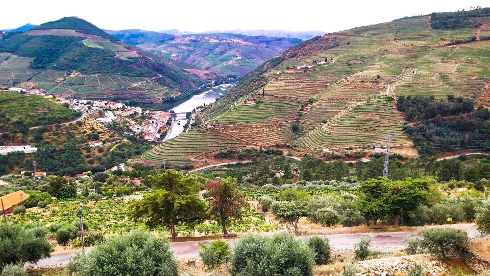 Private Tour to Stunning Douro Valley and Renowned Wineries - Wine Tastings and Experiences