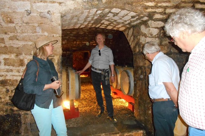 Private Tour: Wines of Burgundy Day Tour From Beaune - Winery Visits and Tastings