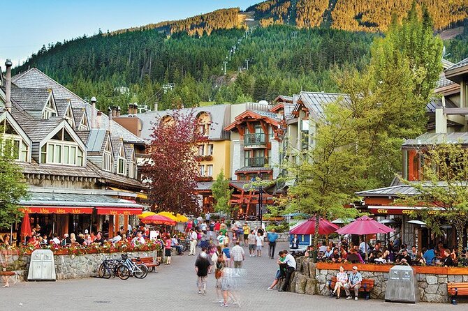 Private Transfer From Whistler to Vancouver Airport YVR - Tour Type and Participation