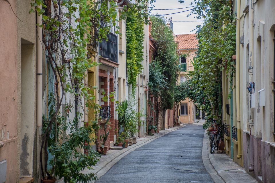 Private Walking Tour of Nice Old District - Cours Saleya Flower Market