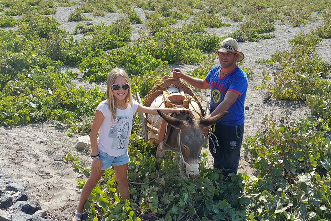 Private Wine Tasting Tour of Santorini - Confirmation and Age Requirement