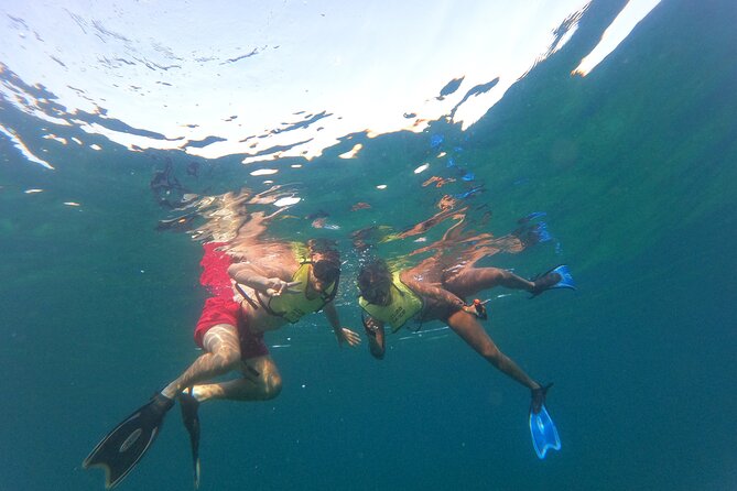 Public Guided Snorkel Tour of Fort Lauderdale Reefs - Coral Reefs and Marine Life