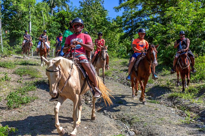 Puerto Plata: Damajagua Waterfalls + Safari Buggy + Horseback Riding (Top3in1) - Diverse Dominican Republic Landscapes