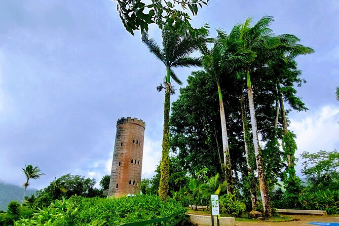 Puerto Rico: El Yunque Sightseeing Half-Day Tour With Transfer - Tropical Rainforest Exploration