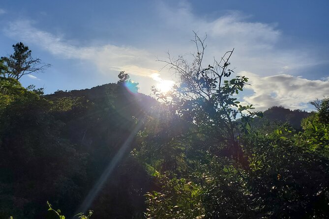 Puerto Rico Tour to El Yunque Rainforest Hiking to Waterfall - Lunch at Local Restaurant