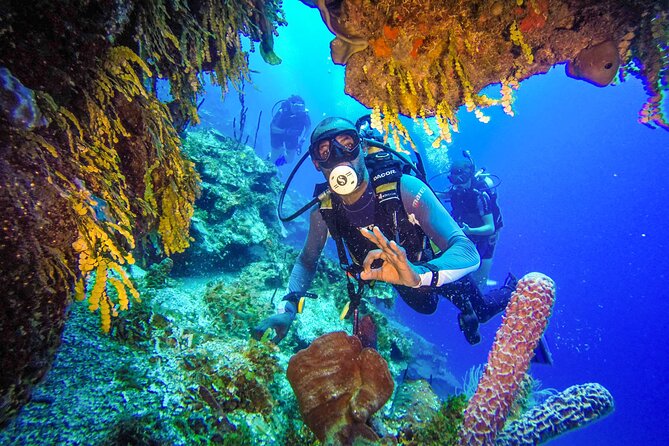 Punta Cana Coastal Scuba Diving Adventure - Customer Reviews and Ratings