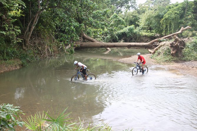 Punta Cana Mountain E-Bike Tour - Coffee Plantation Visit