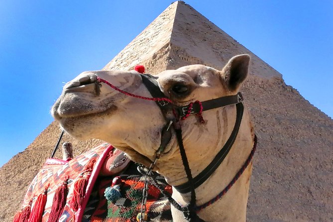 Pyramids of Giza, the Sphinx, the Egyptian Museum. - Accessibility and Transportation Options