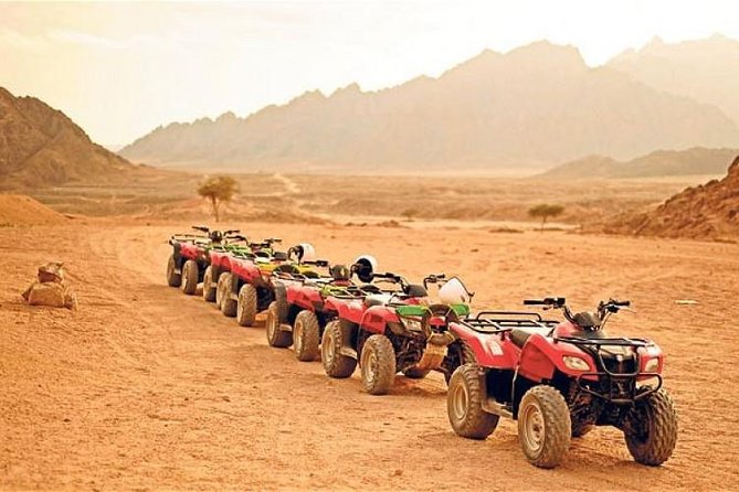 Quad Bike Ride in the Pyramids of Giza - Customer Reviews and Ratings