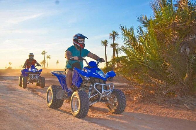 Quad Bike Ride Palm Grove Desert of Marrakech Mountain Bike - Group Size and Transportation