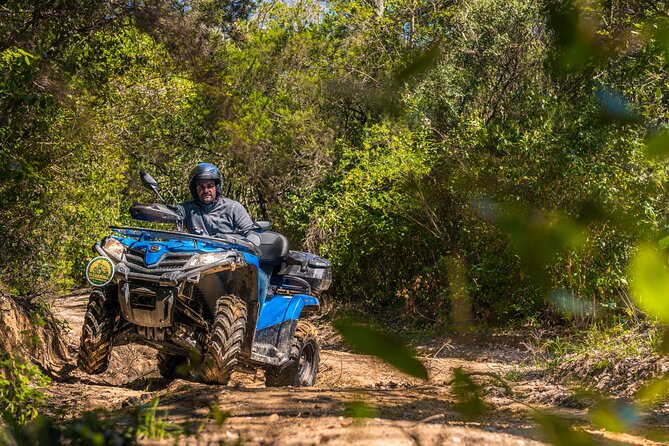 Quad Excursion in the Maremma With Barbecue in the Woods - Customer Feedback and Recommendations